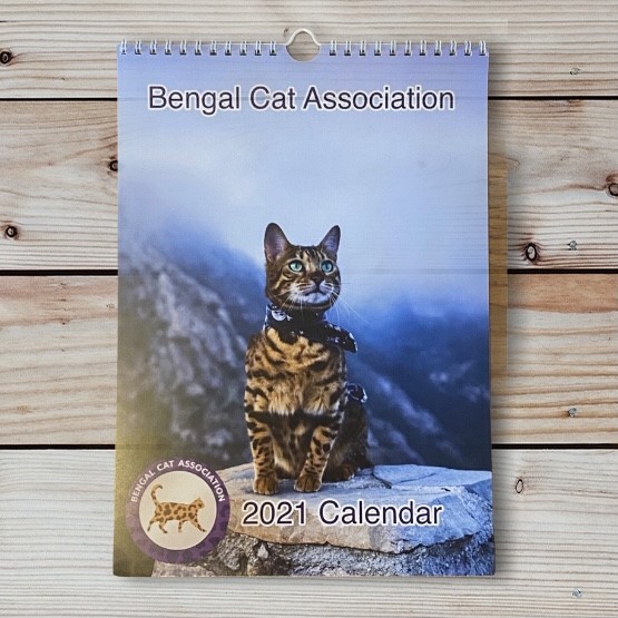 Bengal Cat Calendar