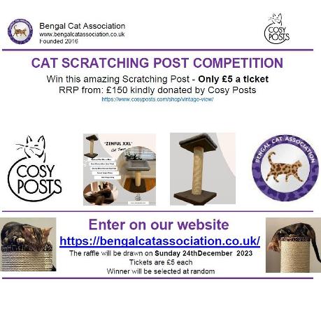 Win a cat scratching post